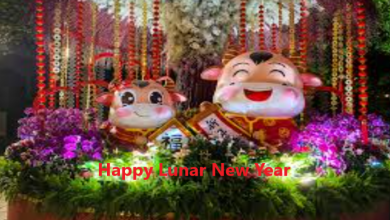 Happy Lunar New Year