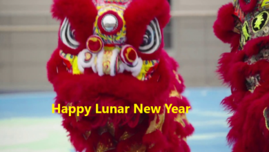 Happy Lunar New Year